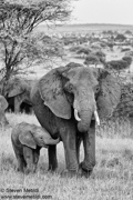 CLASSIC EAST AFRICA